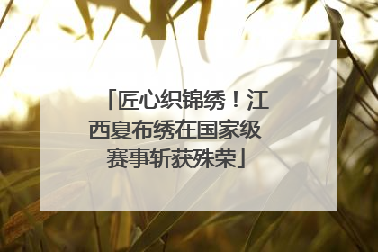 匠心织锦绣！江西夏布绣在国家级赛事斩获殊荣