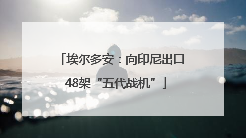 埃尔多安：向印尼出口48架“五代战机”