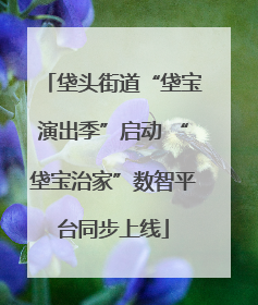 垡头街道“垡宝演出季”启动 “垡宝治家”数智平台同步上线