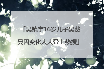 吴镇宇16岁儿子吴费曼因变化太大登上热搜