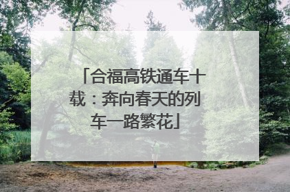 合福高铁通车十载：奔向春天的列车一路繁花