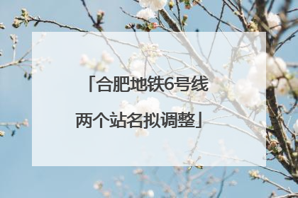 合肥地铁6号线两个站名拟调整