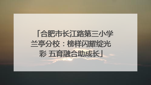 合肥市长江路第三小学兰亭分校：榜样闪耀绽光彩 五育融合助成长