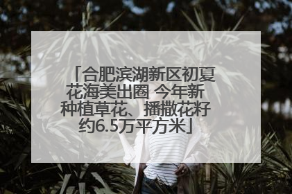 合肥滨湖新区初夏花海美出圈 今年新种植草花、播撒花籽约6.5万平方米