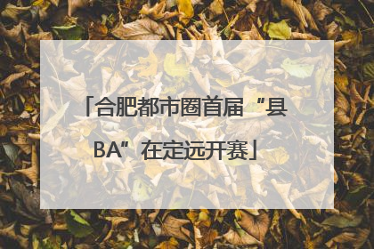 合肥都市圈首届“县BA”在定远开赛