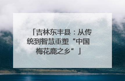 吉林东丰县：从传统到智慧重塑“中国梅花鹿之乡”