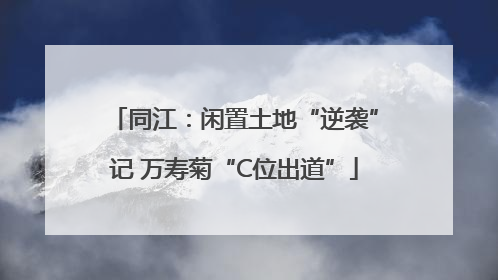 同江：闲置土地“逆袭”记 万寿菊“C位出道”