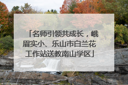 名师引领共成长，峨眉实小、乐山市白兰花工作站送教南山学区