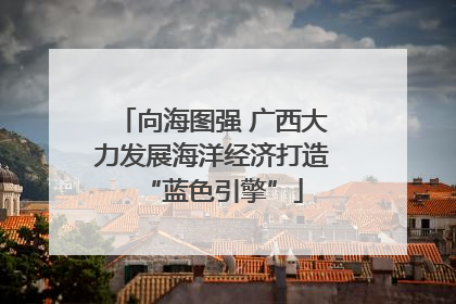 向海图强 广西大力发展海洋经济打造“蓝色引擎”