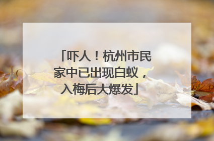 吓人！杭州市民家中已出现白蚁，入梅后大爆发