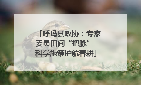 呼玛县政协：专家委员田间“把脉” 科学施策护航春耕