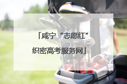 咸宁“志愿红”织密高考服务网