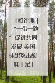 和评理｜“一带一路”促进共同发展 美国抹黑攻击酸味十足