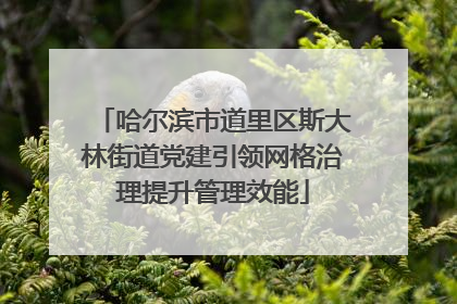 哈尔滨市道里区斯大林街道党建引领网格治理提升管理效能