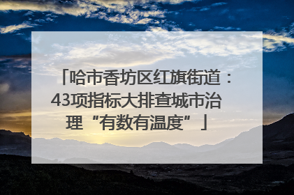 哈市香坊区红旗街道：43项指标大排查城市治理“有数有温度”