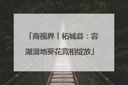 商视界丨柘城县：容湖湿地葵花竞相绽放