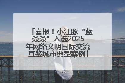 喜报！小江豚“蓝叒叒”入选2025年网络文明国际交流互鉴城市典型案例