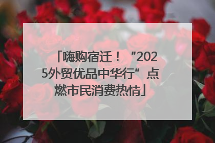 嗨购宿迁！“2025外贸优品中华行”点燃市民消费热情