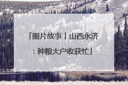 图片故事丨山西永济：种粮大户收获忙