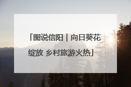 图说信阳｜向日葵花绽放 乡村旅游火热