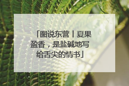 图说东营丨夏果盈香，是盐碱地写给舌尖的情书