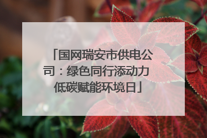 国网瑞安市供电公司：绿色同行添动力 低碳赋能环境日