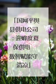 国网平舆县供电公司：迎峰度夏保供电  数智赋能守清凉