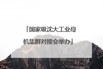 国家级沈大工业母机集群对接会举办