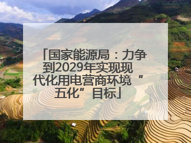 国家能源局：力争到2029年实现现代化用电营商环境“五化”目标