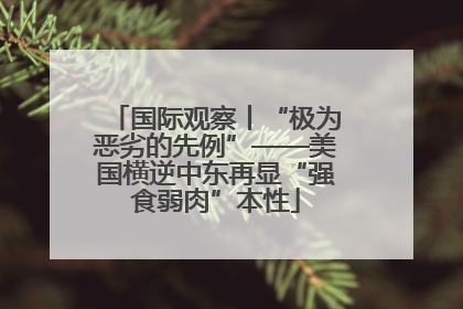 国际观察丨“极为恶劣的先例”——美国横逆中东再显“强食弱肉”本性