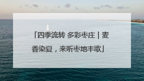 四季流转 多彩枣庄｜麦香染夏，来听枣地丰歌