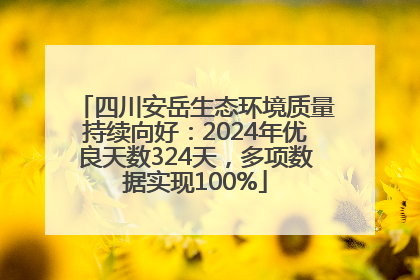 四川安岳生态环境质量持续向好：2024年优良天数324天，多项数据实现100%