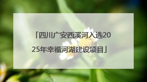 四川广安西溪河入选2025年幸福河湖建设项目