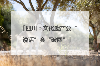 四川：文化遗产会“说话”会“破圈”
