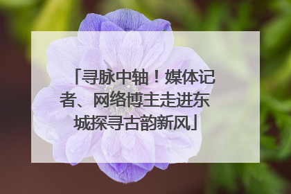 寻脉中轴！媒体记者、网络博主走进东城探寻古韵新风
