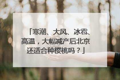 寒潮、大风、冰雹、高温，大幅减产后北京还适合种樱桃吗？