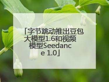 字节跳动推出豆包大模型1.6和视频模型Seedance 1.0