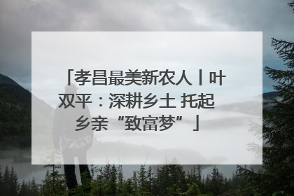 孝昌最美新农人丨叶双平：深耕乡土 托起乡亲“致富梦”