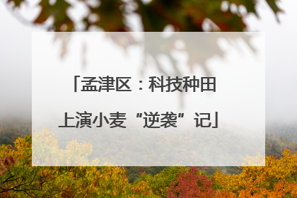 孟津区：科技种田 上演小麦“逆袭”记