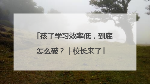 孩子学习效率低，到底怎么破？｜校长来了