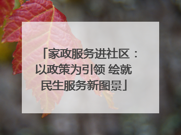 家政服务进社区：以政策为引领 绘就民生服务新图景