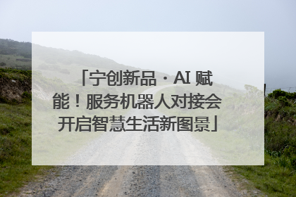 宁创新品・AI 赋能！服务机器人对接会开启智慧生活新图景
