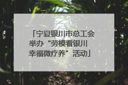 宁夏银川市总工会举办“劳模看银川 幸福微疗养”活动
