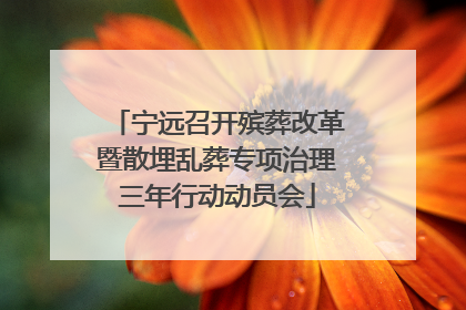 宁远召开殡葬改革暨散埋乱葬专项治理三年行动动员会