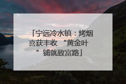 宁远冷水镇：烤烟喜获丰收 “黄金叶”铺就致富路