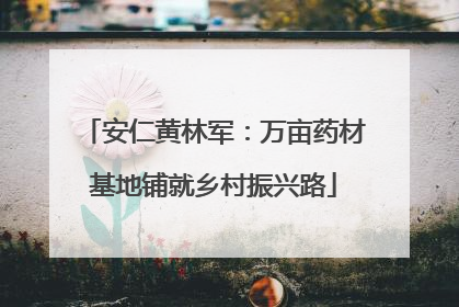 安仁黄林军：万亩药材基地铺就乡村振兴路