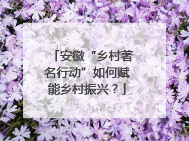 安徽“乡村著名行动”如何赋能乡村振兴？