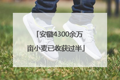 安徽4300余万亩小麦已收获过半
