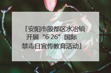 安阳市殷都区水冶镇开展“6·26”国际禁毒日宣传教育活动