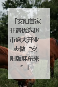安阳首家非遗优选超市盛大开业 志做“安阳版胖东来”